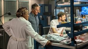 NCIS: New Orleans Epizóda 5
