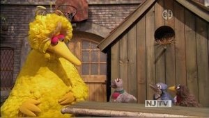 Sesame Street Epizóda 9