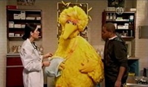 Sesame Street Epizóda 20