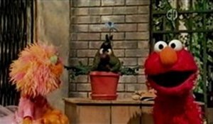 Sesame Street Epizóda 8