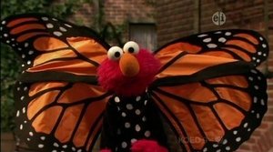 Sesame Street Epizóda 12