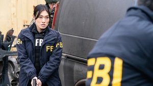 FBI Epizóda 13