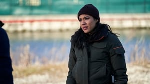 Chicago P.D. Epizóda 14