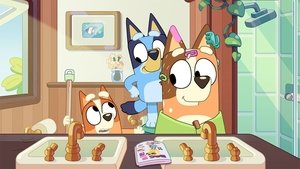 Bluey Epizóda 5