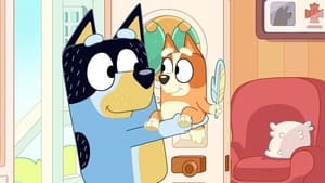 Bluey Epizóda 3
