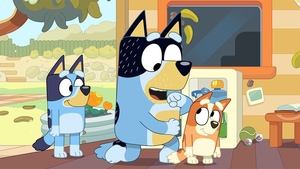 Bluey Epizóda 8