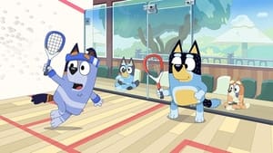 Bluey Epizóda 4