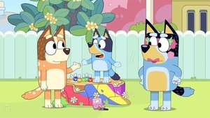Bluey Epizóda 6