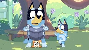 Bluey Epizóda 13