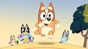 Bluey Epizóda 18