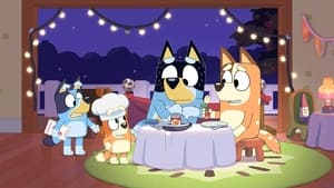 Bluey Epizóda 17