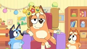 Bluey Epizóda 23