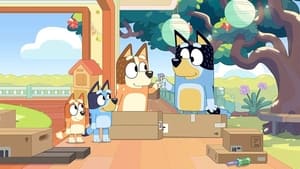 Bluey Epizóda 24