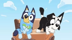 Bluey Epizóda 25