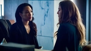 The Flash Epizóda 17