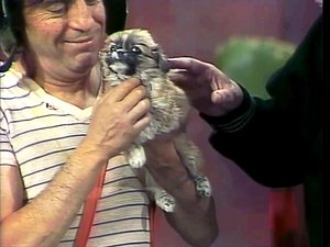 El Chavo del Ocho Epizóda 44