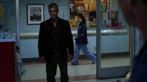 Private Practice Epizóda 12