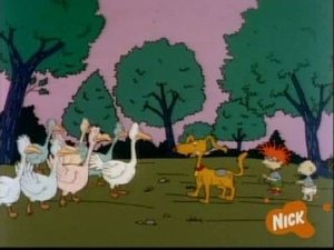 Rugrats Epizóda 12