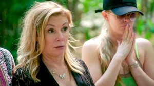 The Real Housewives of New York City Epizóda 18