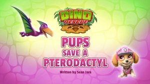 Labková patrola Dino záchrana: Labky zachraňujú pterodaktyla