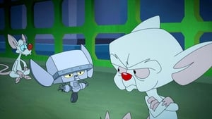 Animaniacs Epizóda 12
