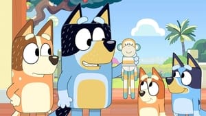 Bluey Epizóda 38