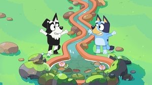 Bluey Epizóda 31