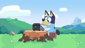 Bluey Epizóda 49