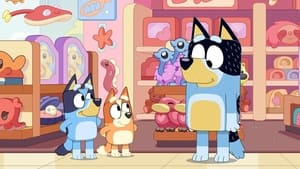 Bluey Epizóda 37