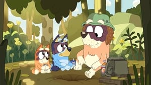 Bluey Epizóda 27