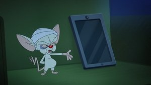 Animaniacs Epizóda 15