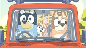 Bluey Epizóda 46