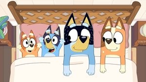 Bluey Epizóda 48
