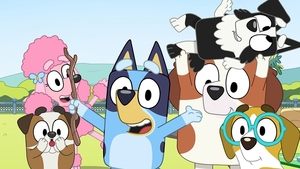 Bluey Epizóda 33