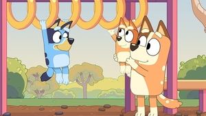 Bluey Epizóda 50