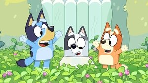 Bluey Epizóda 43