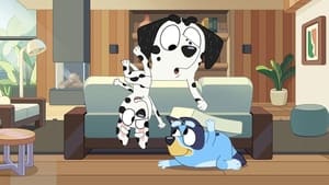 Bluey Epizóda 41