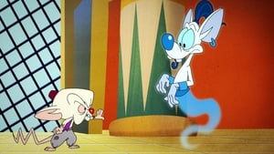 Animaniacs Epizóda 38