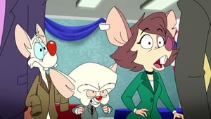 Animaniacs Epizóda 24