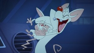 Animaniacs Epizóda 41