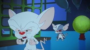 Animaniacs Epizóda 28