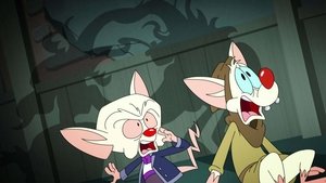 Animaniacs Epizóda 35