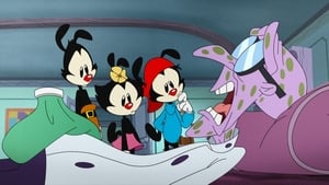 Animaniacs Epizóda 40