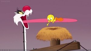 Looney Tunes: Animáky Epizóda 40