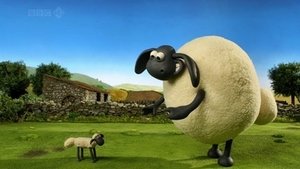 Ovečka Shaun Obor Timmy