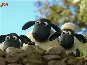 Ovečka Shaun Nohy v betóne