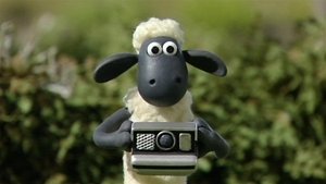 Ovečka Shaun Saša fotografuje
