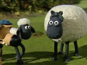 Ovečka Shaun Farmárova neter