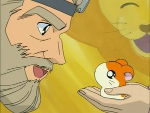 Hamtaro Epizóda 94