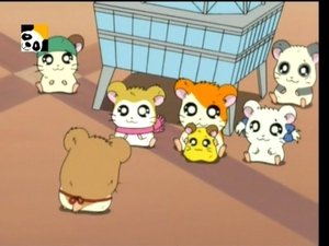 Hamtaro Epizóda 64